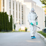 The Importance of Regular Pest Control Maintenance